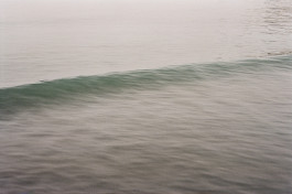  Felix Busso Photography