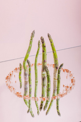 Campos Borquez Maña Industries Felix Busso Photography