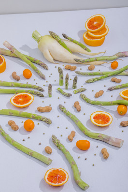 Campos Borquez Maña Industries Felix Busso Photography