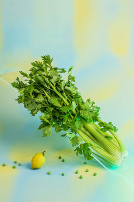 Campos Borquez Maña Industries Felix Busso Photography