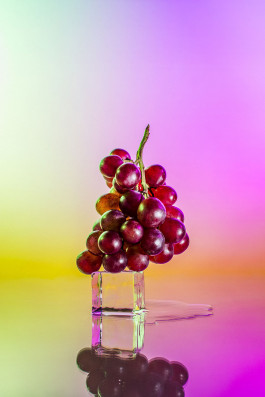 Campos Borquez Maña Industries Felix Busso Photography