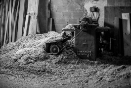 Carpinteria Pampa FBDI Felix Busso Photography