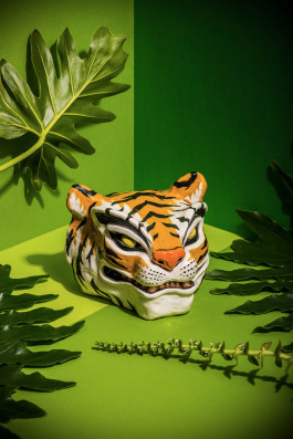  Felix Busso Photography