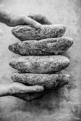  Felix Busso Photography