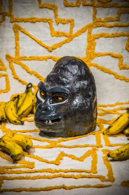  Felix Busso Photography