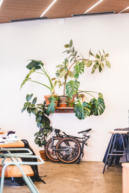  Felix Busso Photography