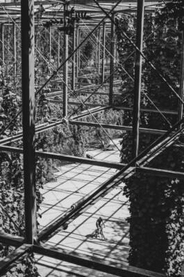  Felix Busso Photography